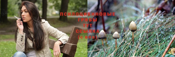 герыч Краснотурьинск