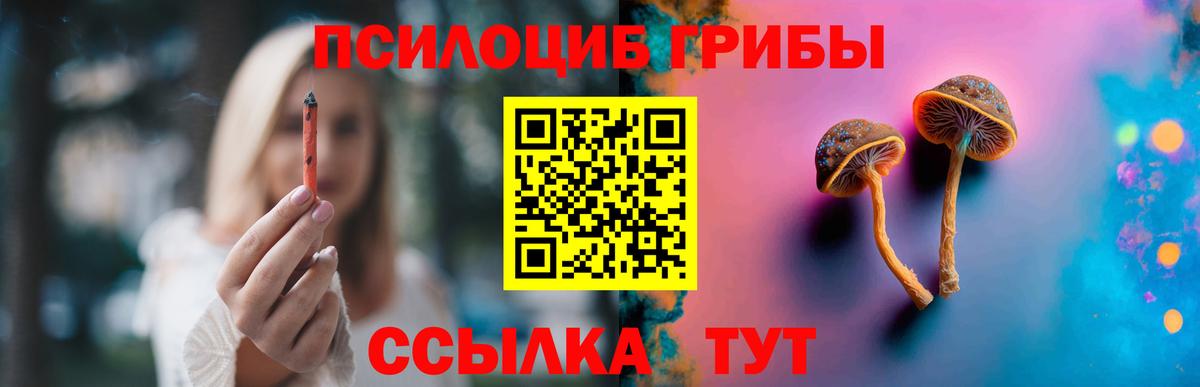 Псилоцибиновые грибы мухоморы Березники